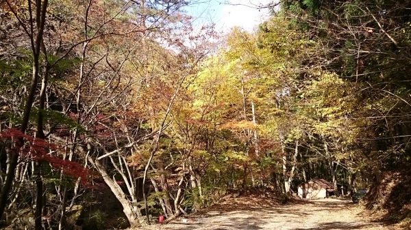 DSC_4402.JPG