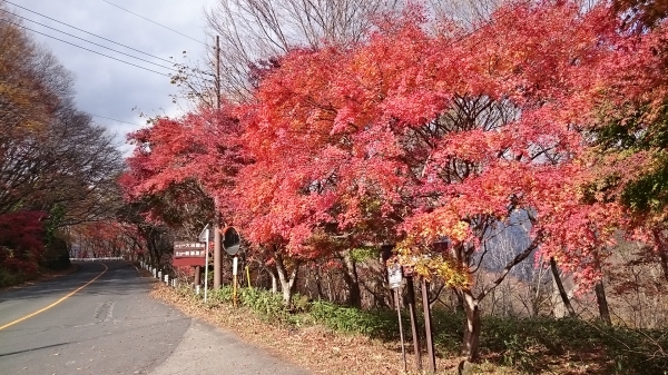 DSC_4403.JPG