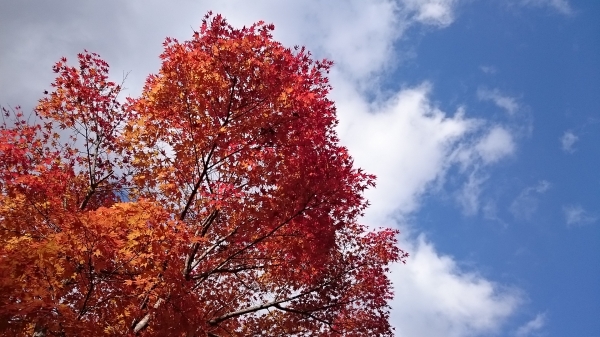 DSC_4405.JPG