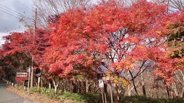 DSC_4407.JPG