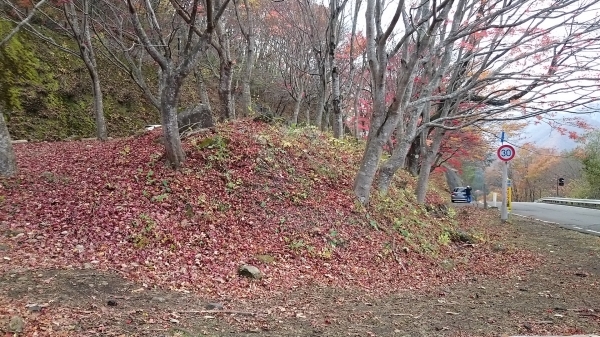 DSC_4412.JPG