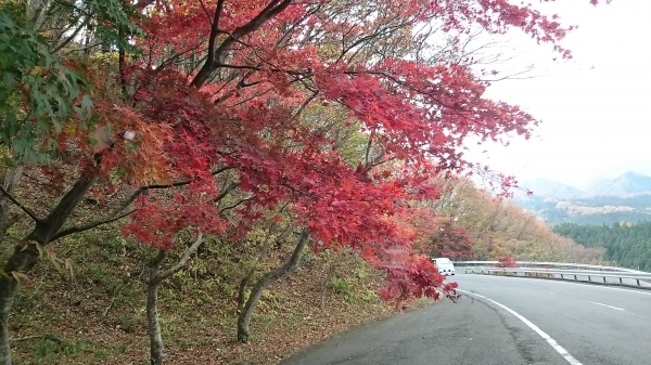 DSC_4413.JPG