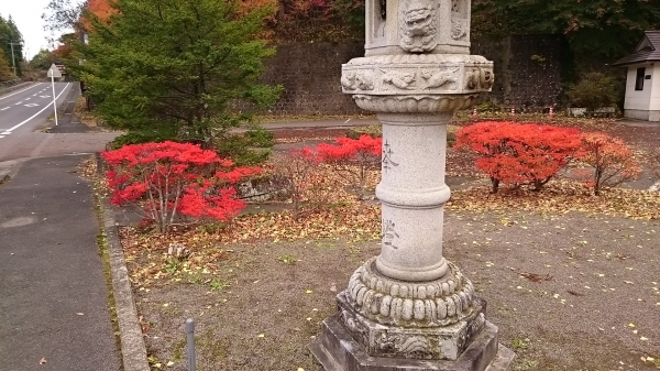 DSC_4421.JPG
