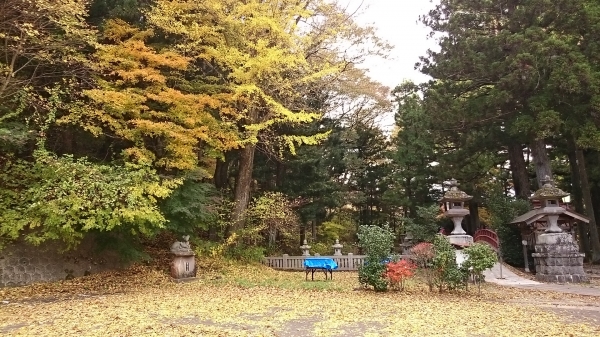 DSC_4425.JPG
