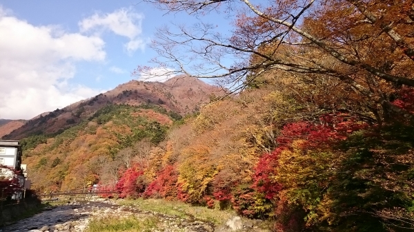 DSC_4427.JPG