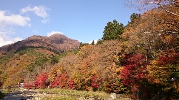 DSC_4428.JPG