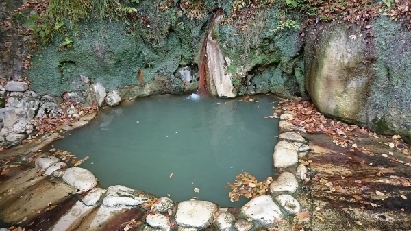 DSC_4432.JPG