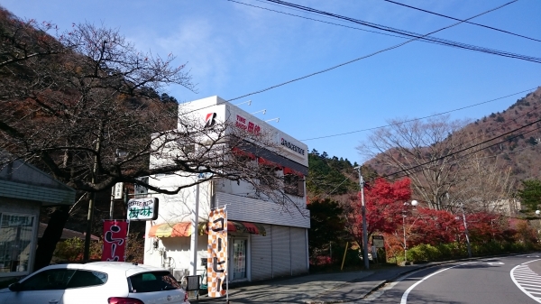 DSC_4537.JPG