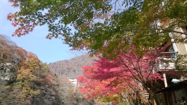 DSC_4546.JPG