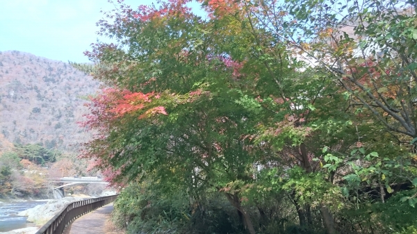 DSC_4552.JPG