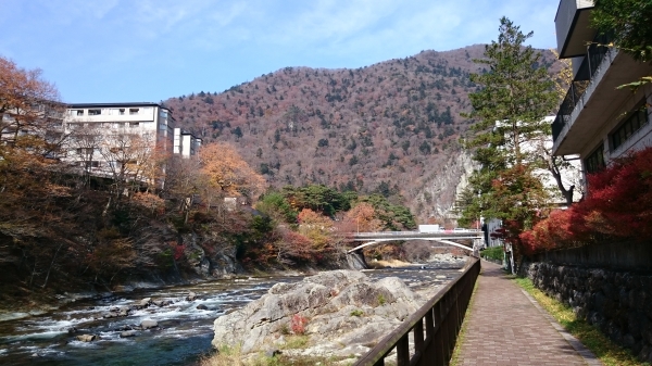 DSC_4556.JPG