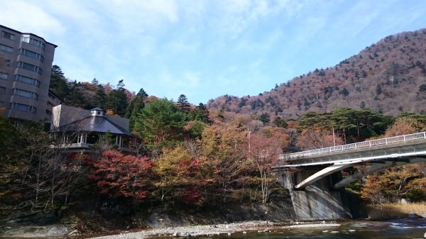 DSC_4557.JPG
