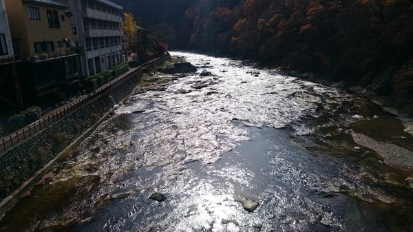 DSC_4558.JPG