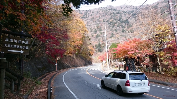 DSC_4559.JPG