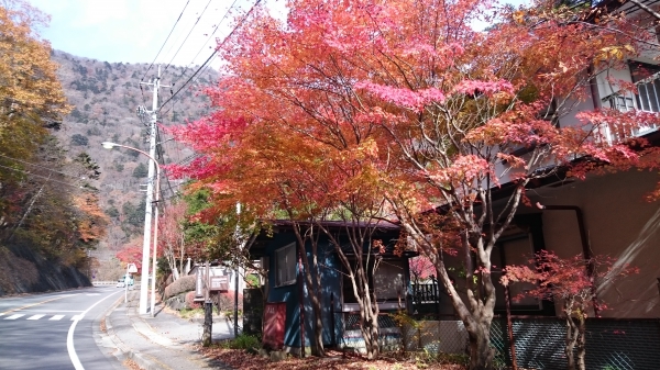 DSC_4560.JPG