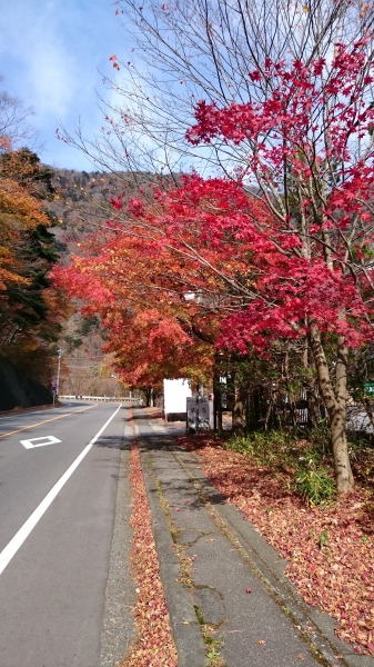 DSC_4561.JPG