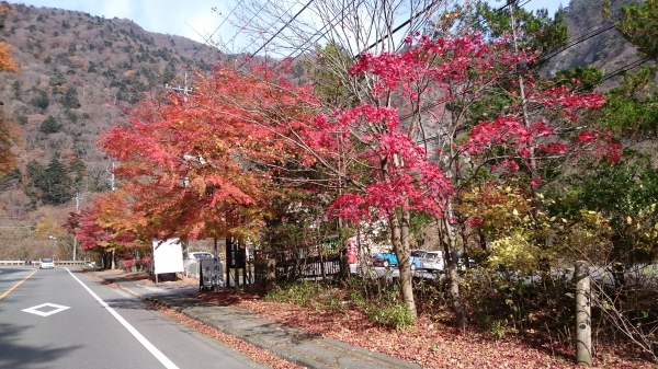 DSC_4562.JPG
