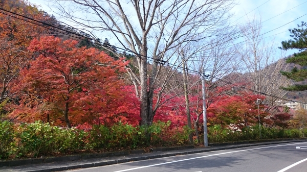 DSC_4572.JPG
