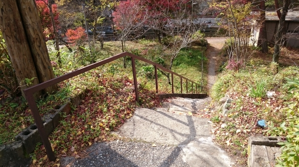DSC_4582.JPG