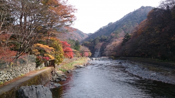 DSC_4585.JPG