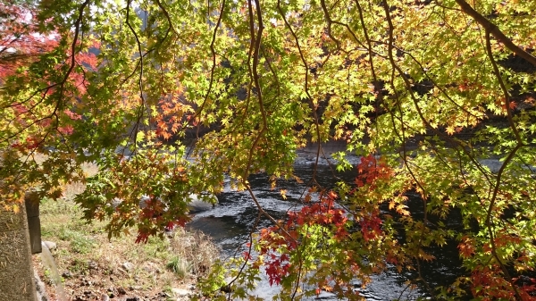 DSC_4589.JPG