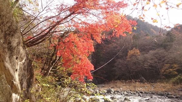 DSC_4602.JPG