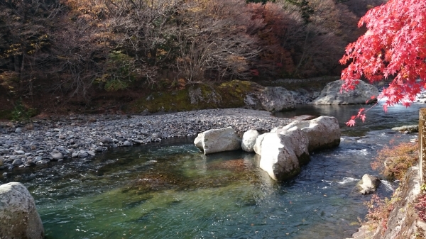 DSC_4610.JPG