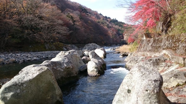 DSC_4615.JPG