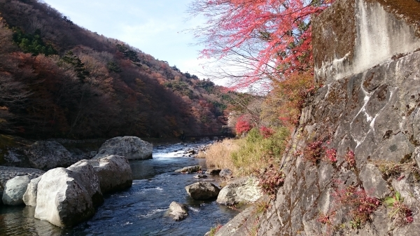 DSC_4616.JPG