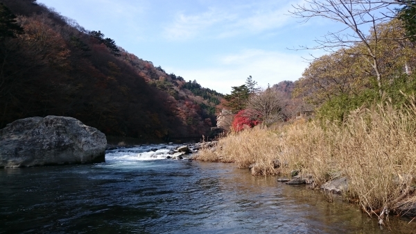 DSC_4617.JPG