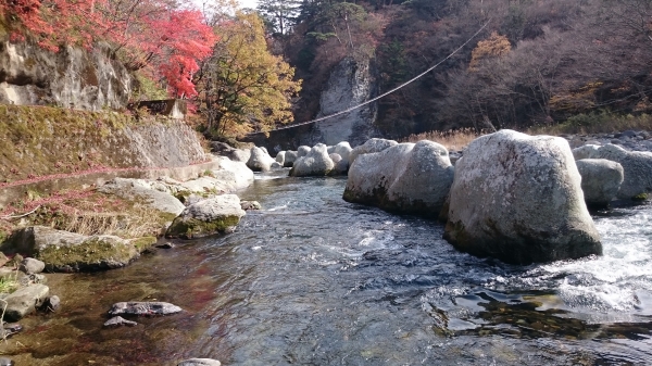 DSC_4618.JPG
