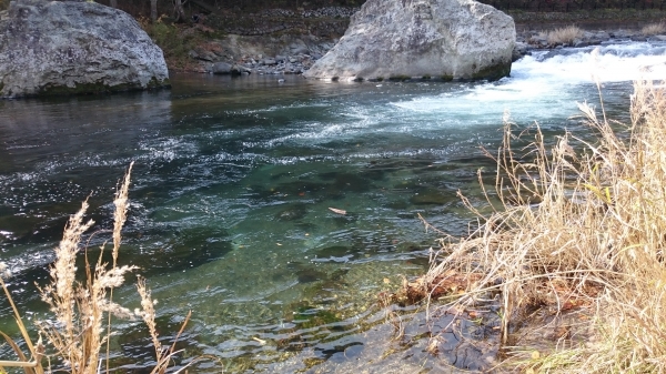 DSC_4619.JPG