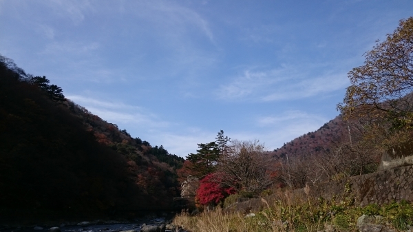 DSC_4621.JPG