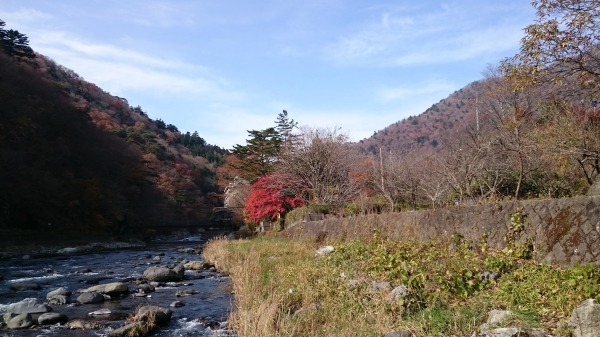 DSC_4622.JPG