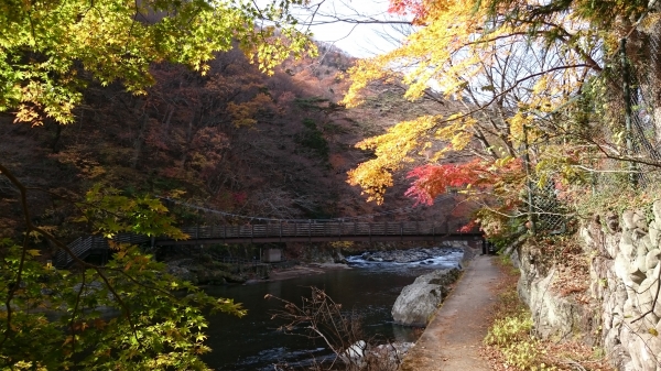 DSC_4623.JPG