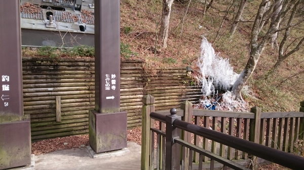 eSC_0012.JPG