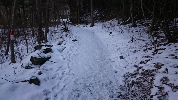 DSC_5296.JPG