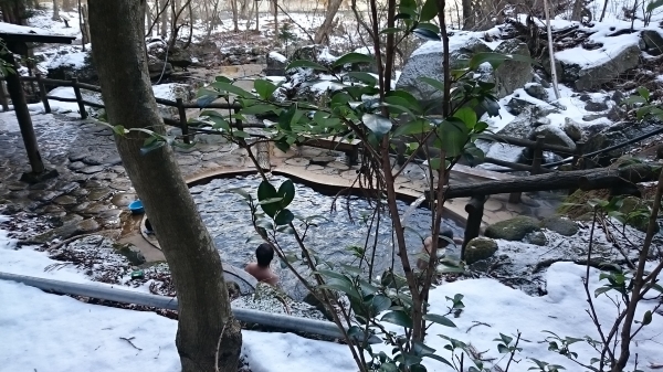 DSC_5298.JPG