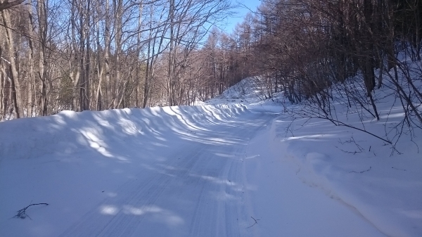 DSC_5400.JPG