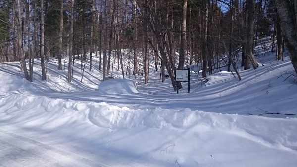 DSC_5401.JPG
