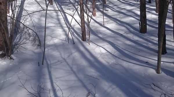 DSC_5404.JPG