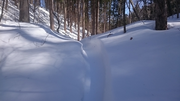 DSC_5405.JPG