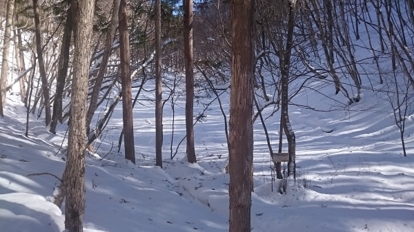 DSC_5407.JPG