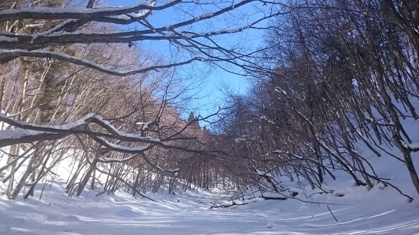 DSC_5408.JPG