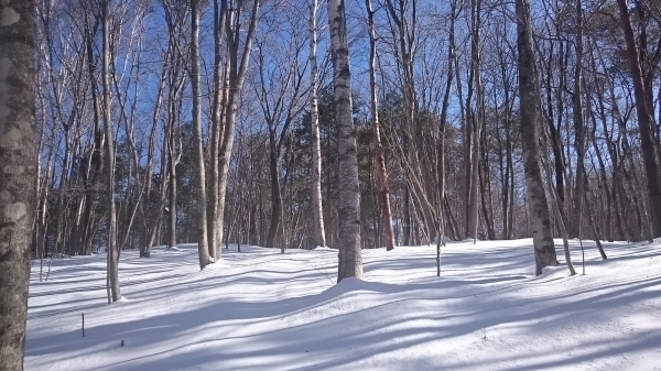 DSC_5421.JPG