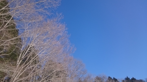 DSC_5437.JPG