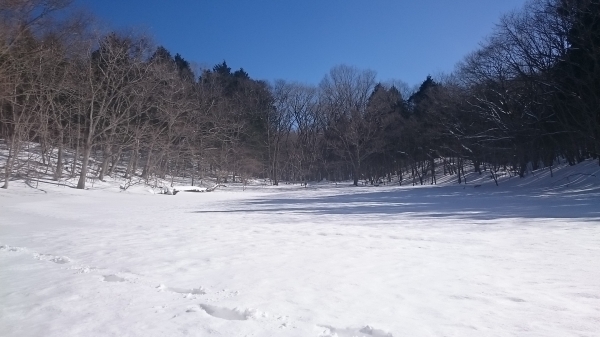 DSC_5438.JPG