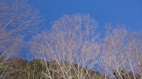 DSC_5439.JPG