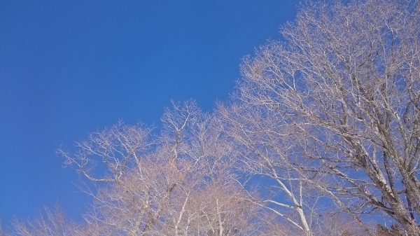 DSC_5446.JPG