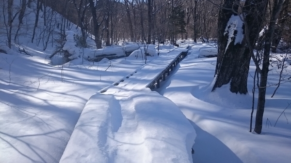 DSC_5450.JPG